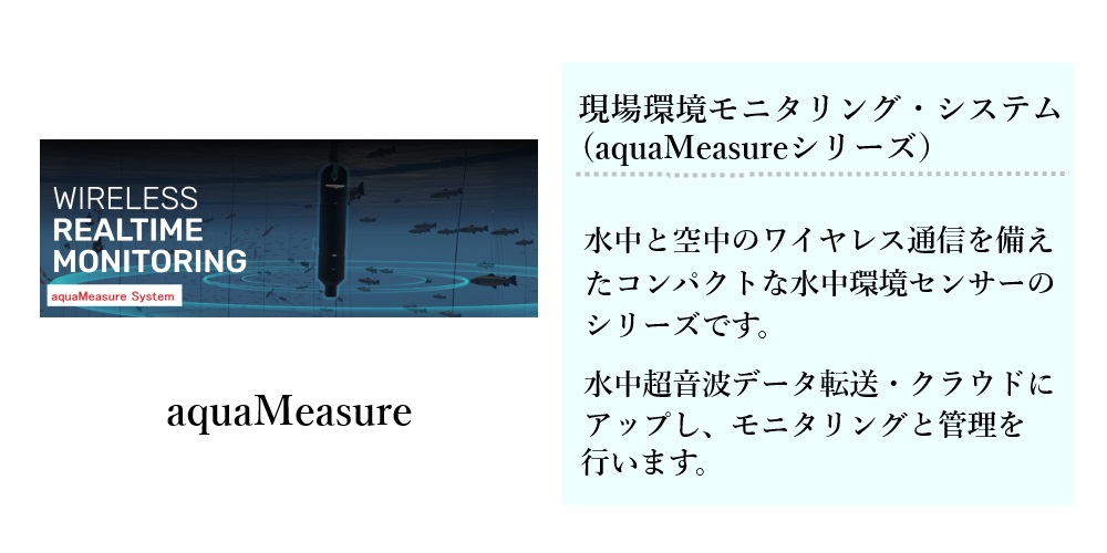 �摜�T